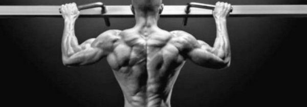 背部肌肉锻炼八大动作